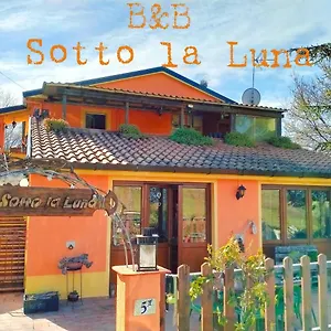 bb-sotto-la-luna.riccione-hotels.org/
